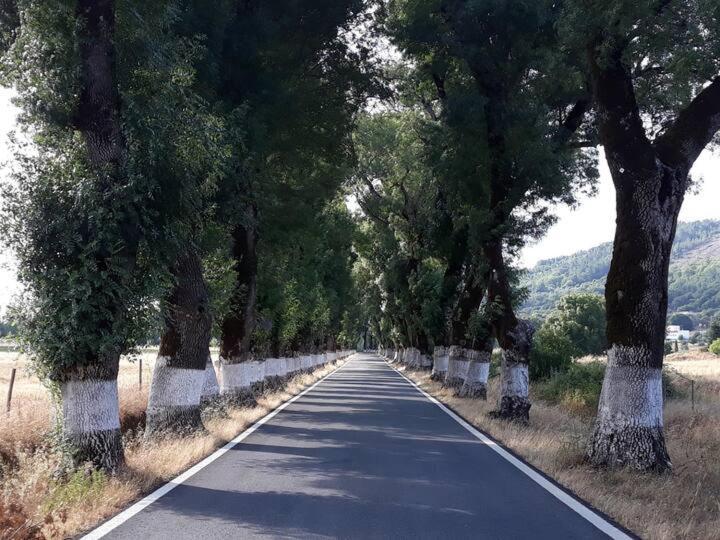O Casulo Villa Marvão Eksteriør billede